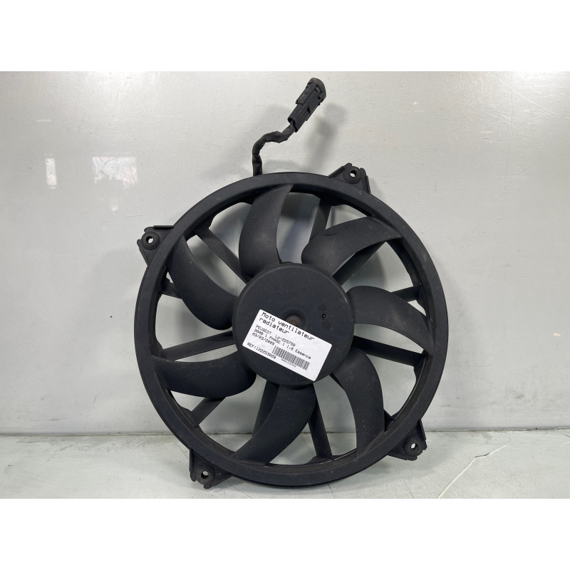 Moto ventilateur radiateur PEUGEOT 3008 1 Photo n°1