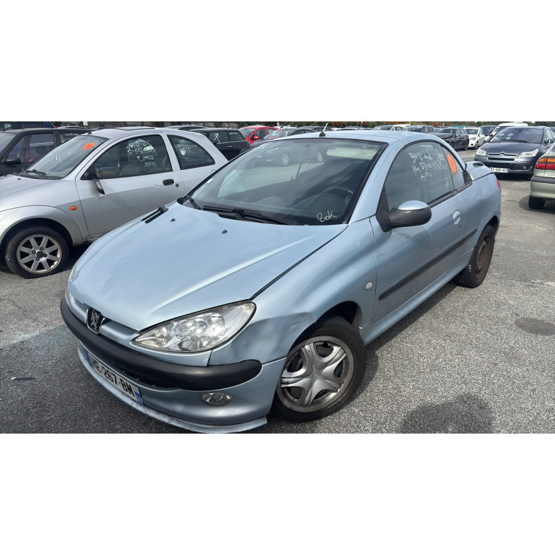 Porte avant gauche PEUGEOT 206 Photo n°7