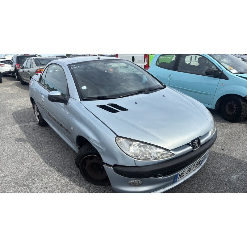 Porte avant gauche PEUGEOT 206 Photo n°8
