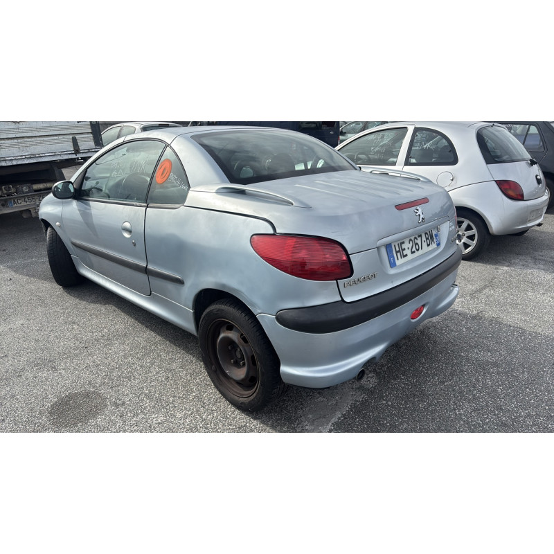 Porte avant gauche PEUGEOT 206 Photo n°10