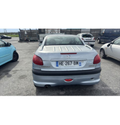 Porte avant gauche PEUGEOT 206