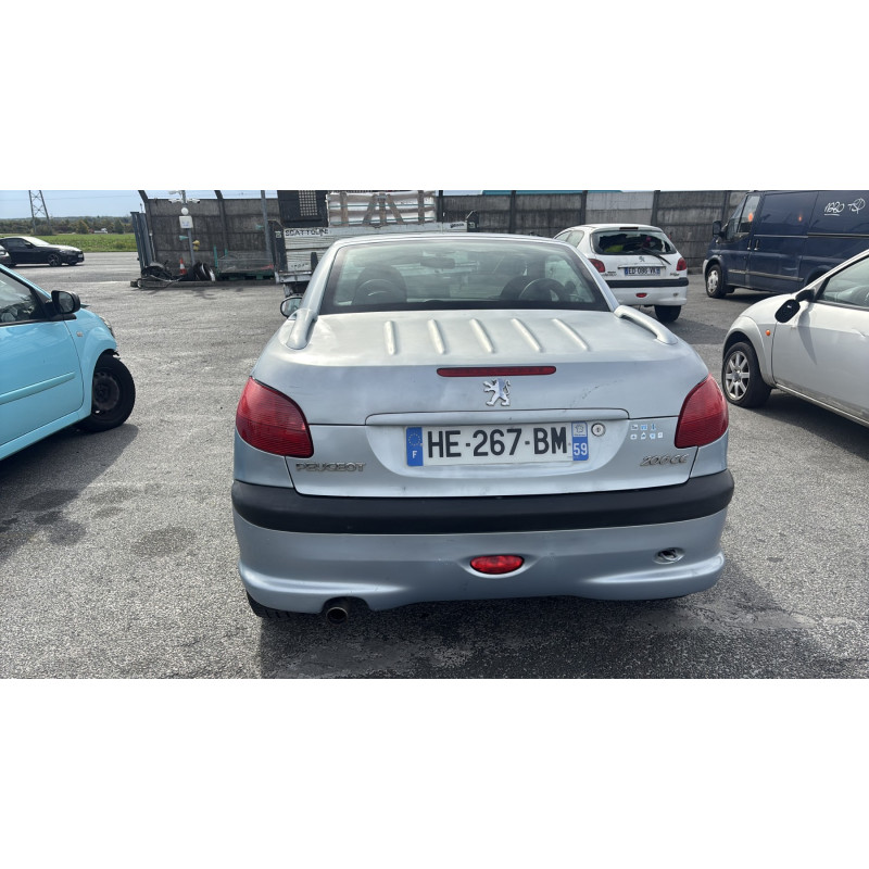 Porte avant gauche PEUGEOT 206 Photo n°11