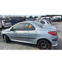 Porte avant gauche PEUGEOT 206