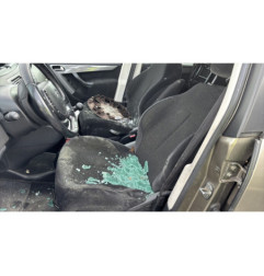 Capot CITROEN C4 GRAND PICASSO 1