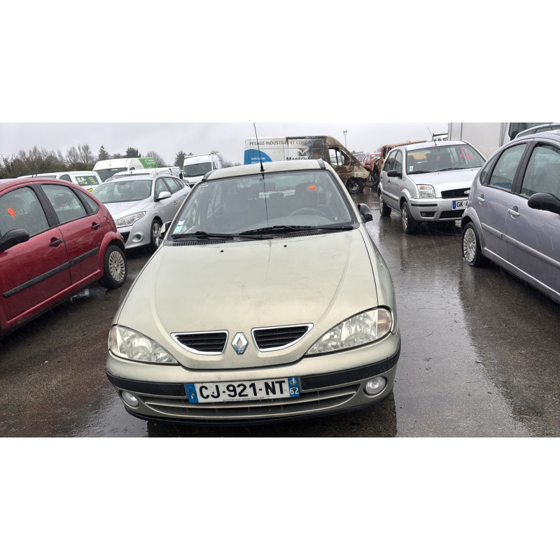Porte avant gauche RENAULT MEGANE 1 Photo n°8