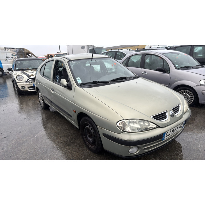 Porte avant gauche RENAULT MEGANE 1 Photo n°9