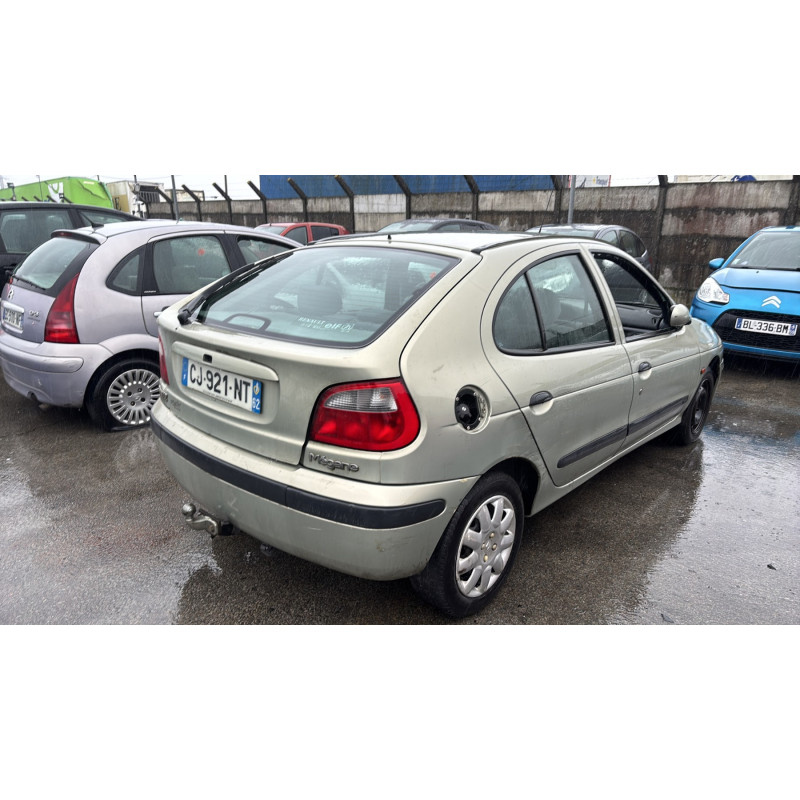 Porte avant gauche RENAULT MEGANE 1 Photo n°11