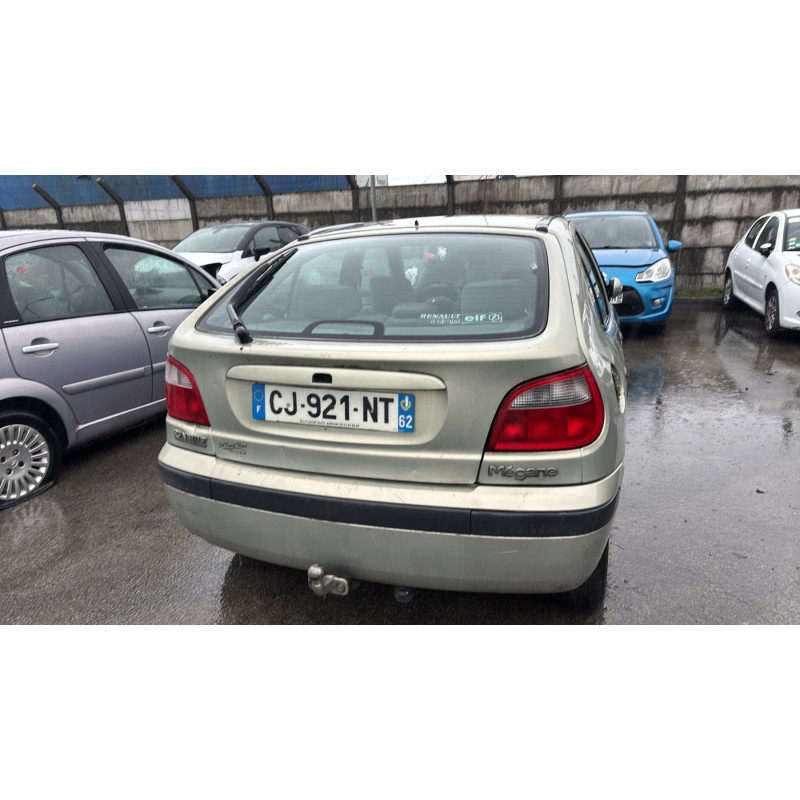 Porte avant gauche RENAULT MEGANE 1 Photo n°12