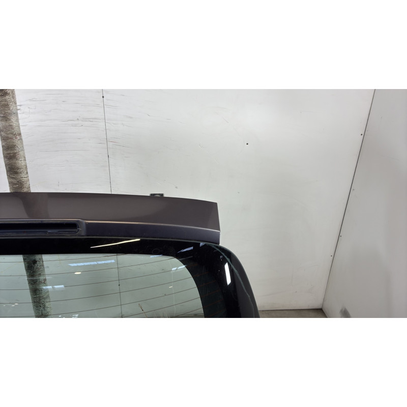 Malle/Hayon arriere RENAULT CLIO 3 Photo n°3