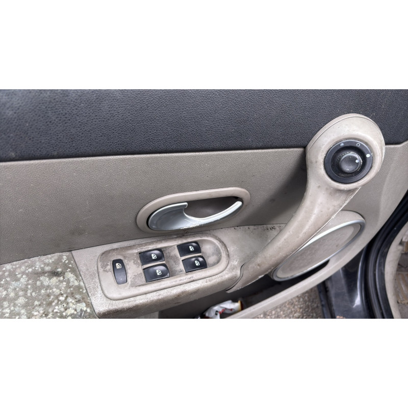 Custode arriere gauche (porte) RENAULT CLIO 3 Photo n°15