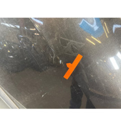 Porte arriere gauche RENAULT CLIO 3