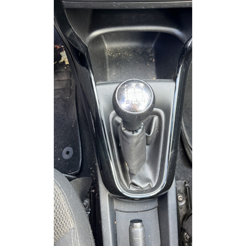 Porte arriere gauche CITROEN C3 2 Photo n°14