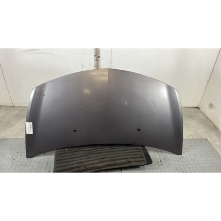 Capot RENAULT CLIO 3 Photo n°1
