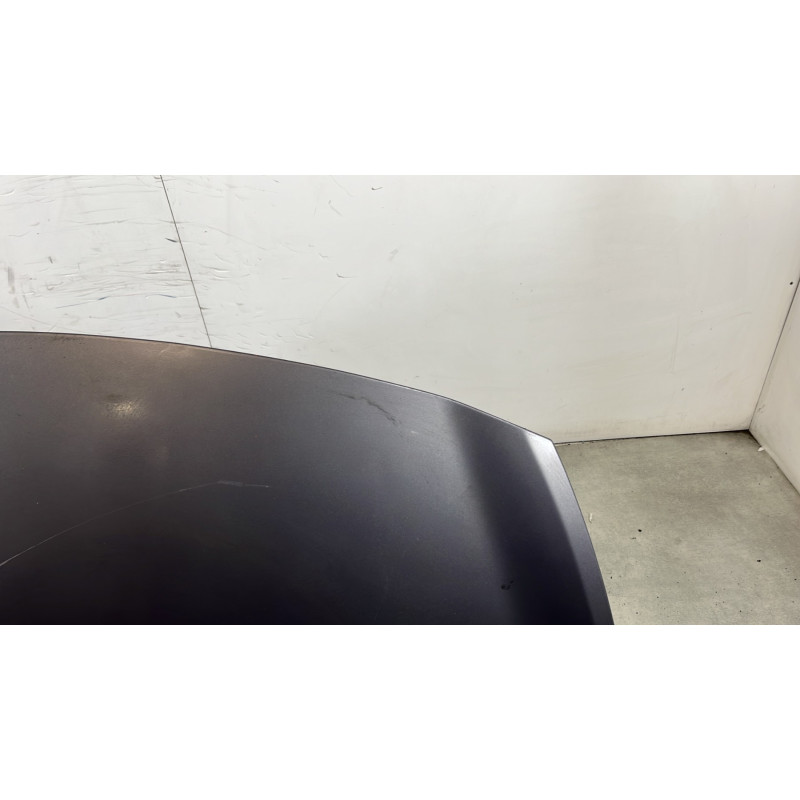 Capot RENAULT CLIO 3 Photo n°3