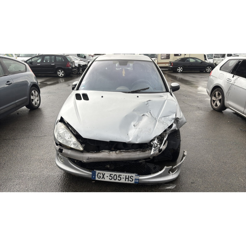 Porte avant gauche PEUGEOT 206 Photo n°9