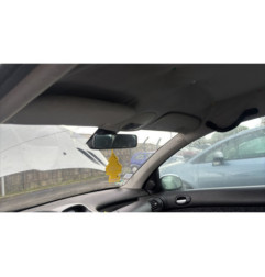 Porte avant gauche PEUGEOT 206