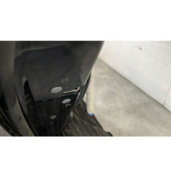 Porte arriere gauche CITROEN C4 PICASSO 1