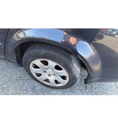 Porte arriere gauche AUDI A4 2