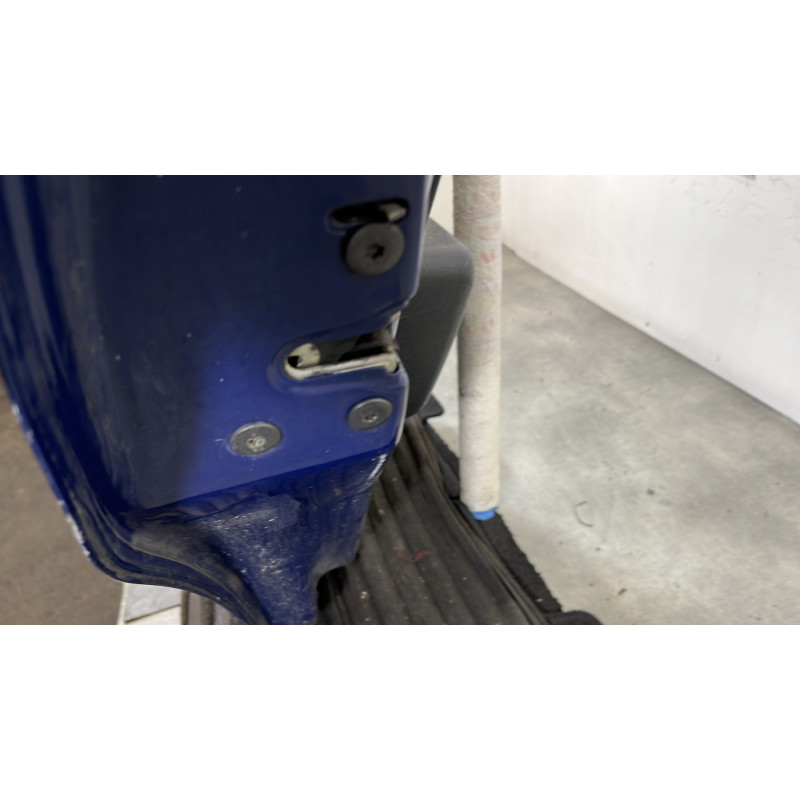 Porte arriere gauche DACIA SANDERO 1 Photo n°5