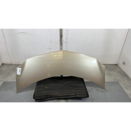 Capot RENAULT MODUS Photo n°1