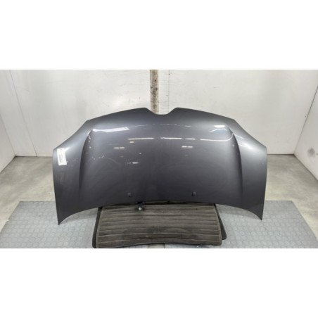 Capot RENAULT TWINGO 3 Photo n°1