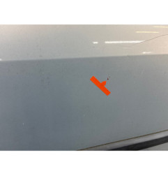 Porte avant gauche RENAULT SCENIC 2