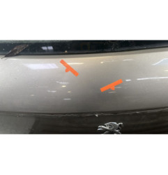 Malle/Hayon arriere PEUGEOT 308 1
