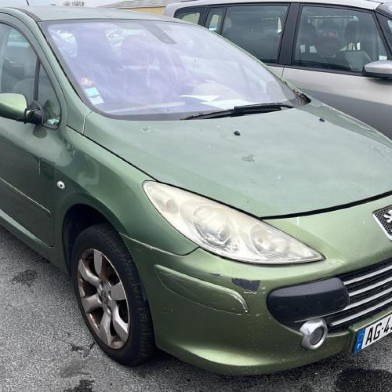 Jante PEUGEOT 307 Photo n°6