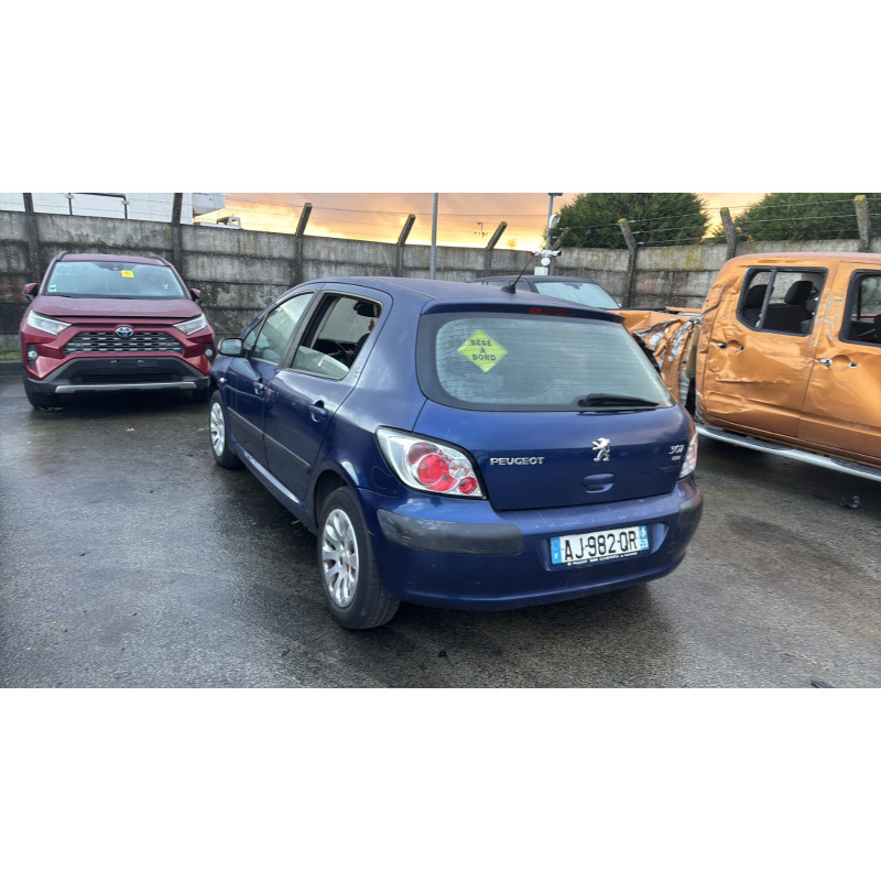Baguette de porte arriere gauche  PEUGEOT 307 Photo n°8