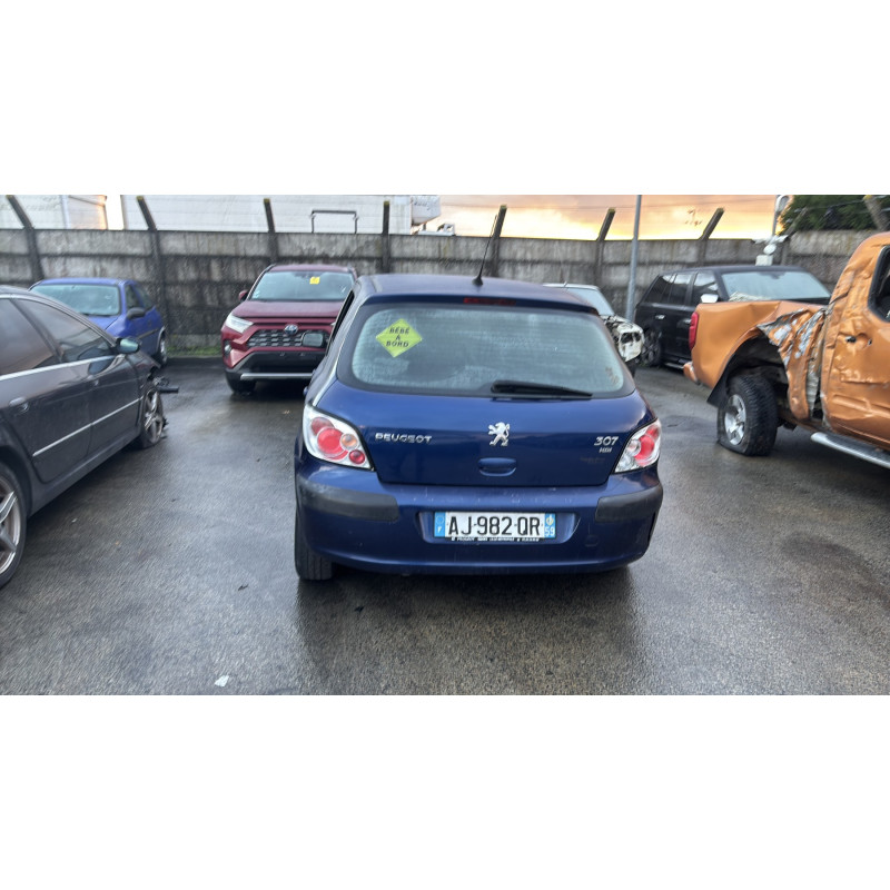 Baguette de porte arriere gauche  PEUGEOT 307 Photo n°9
