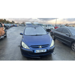 Baguette de porte arriere gauche  PEUGEOT 307