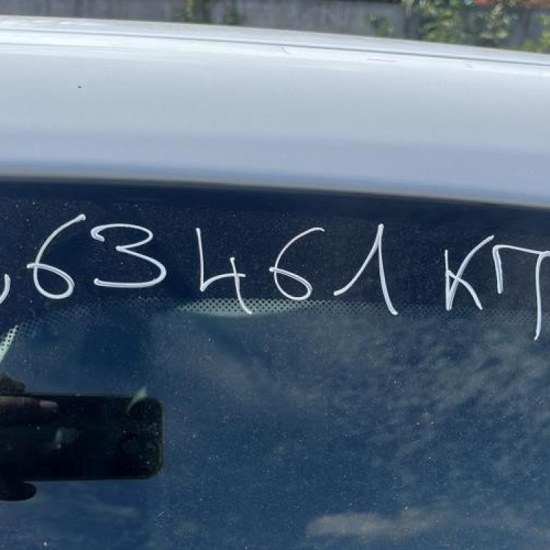 Custode arriere gauche RENAULT CLIO 3 Photo n°20