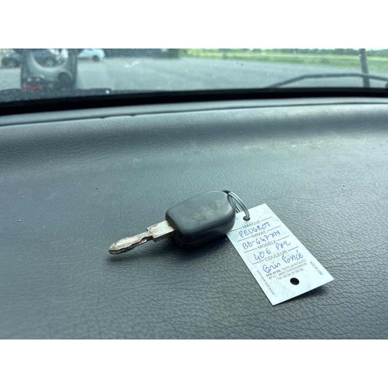 Custode arriere droit (porte) PEUGEOT 406 Photo n°19