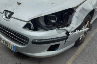 Jante PEUGEOT 407