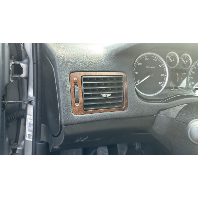 Custode avant droit (porte) PEUGEOT 307 Photo n°19