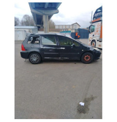 Aile avant gauche PEUGEOT 307