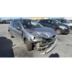 Glace retroviseur droit PEUGEOT 206