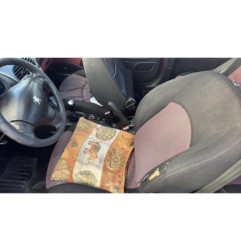 Porte avant gauche PEUGEOT 206
