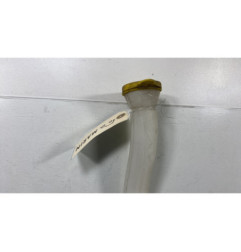 Vase de lave glace RENAULT MASTER 3
