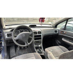 Vase de lave glace PEUGEOT 307