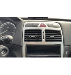 Vase de lave glace PEUGEOT 307