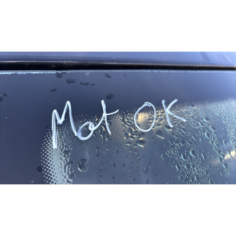 Mastervac VOLKSWAGEN POLO 5 Photo n°19