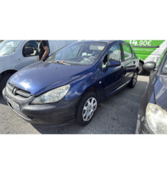 Vase de lave glace PEUGEOT 307