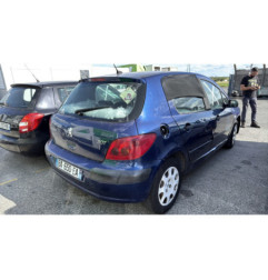 Vase de lave glace PEUGEOT 307