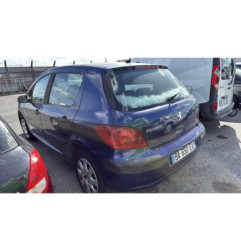 Vase de lave glace PEUGEOT 307