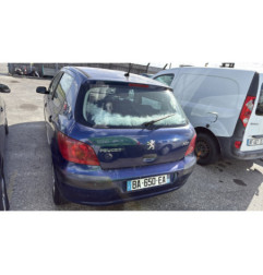 Vase de lave glace PEUGEOT 307