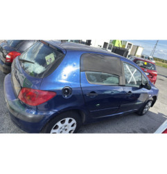 Vase de lave glace PEUGEOT 307