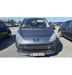 Mastervac PEUGEOT 1007