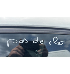 Custode arriere gauche (porte) BMW SERIE 1 E87