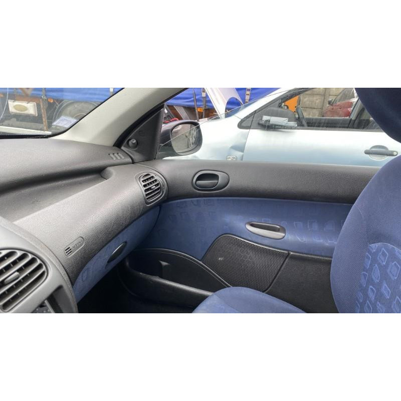 Porte avant droit PEUGEOT 206 Photo n°19